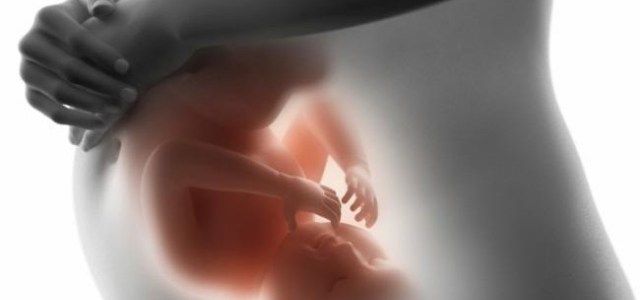 O desenvolvimento do bebê no útero a cada mês