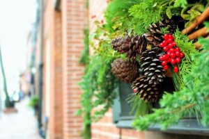 6 ideias para decorar o jardim no Natal