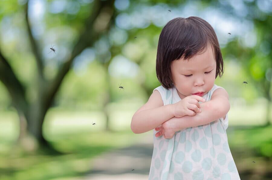 Por que o meu filho sempre é picado por mosquitos?