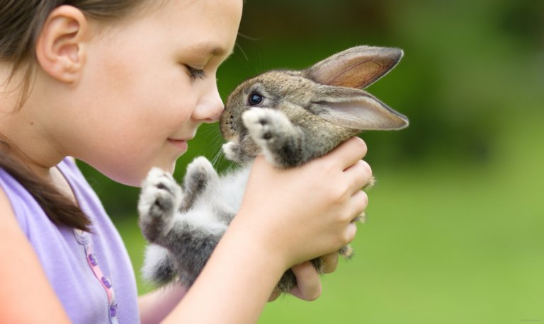 Os coelhos são um dos melhores animais de estimação