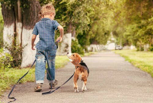 criança passeando com um cão