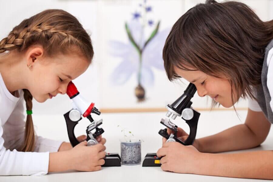 Os experimentos para as crianças aprenderem ciência são uma forma muito divertida de aprender.