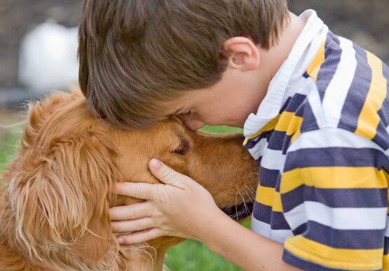 Seu filho ama pets? Conheça os benefícios de ter animais