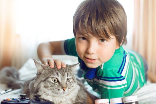 menino com um gato