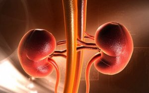 Câncer renal na infância: sintomas e causas