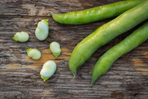 Você sabe o que é o favismo?