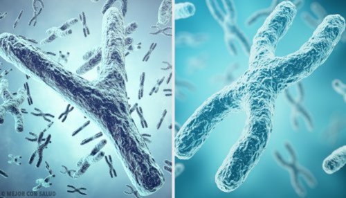Classificação das alterações cromossômicas