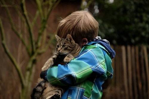 menino abraça o gato 
