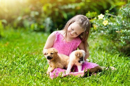 menina brinca com filhotes de cães 