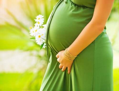 Suplementos nutricionais para mulheres grávidas