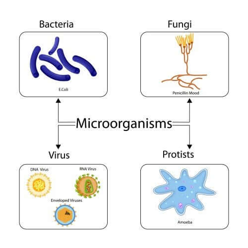 Riscos do uso abusivo de antibióticos