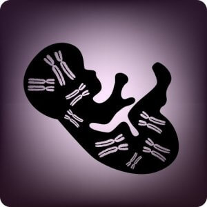 Teste genético pré-natal: características e vantagens