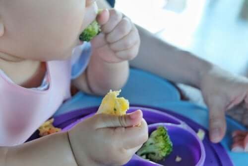 Receitas Baby Led Weaning