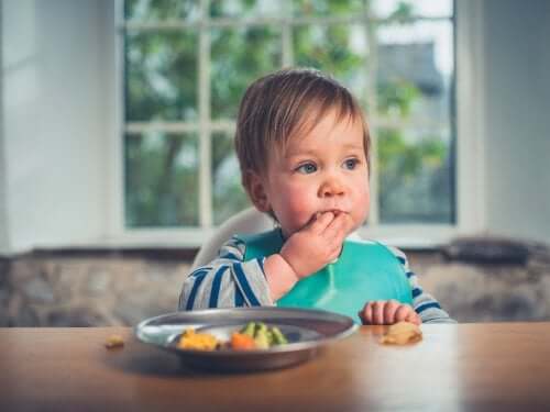 Receitas Baby Led Weaning