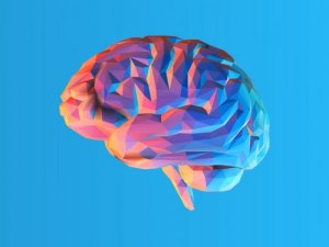 O que é a teoria da carga cognitiva