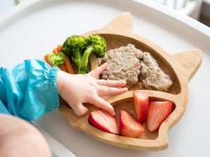 Receitas Baby Led Weaning