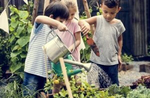 A aprendizagem vivencial e a sua importância