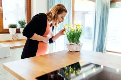 O sentido do olfato durante a gravidez