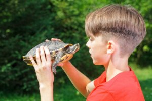 Os efeitos da técnica da tartaruga na autoestima