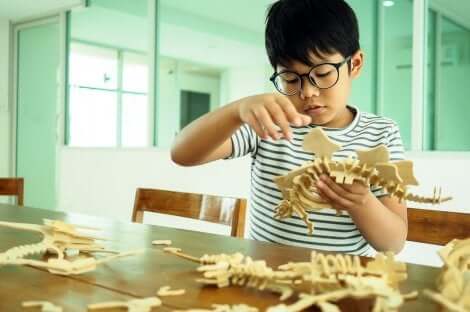 A importância das diferenças individuais para a educação: menino aprendendo com as mãos