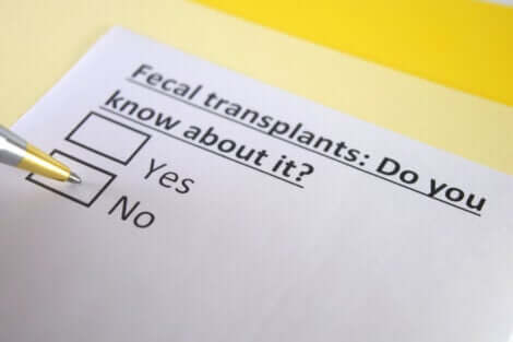 Você sabe o que é o transplante fecal?