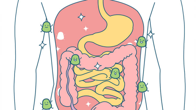 O que é um transplante fecal e quando ele é recomendado?