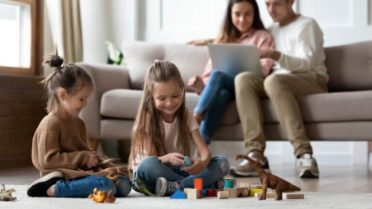 Tipos de família de acordo com o seu grau de coesão