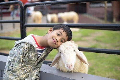 Visita ao zoológico