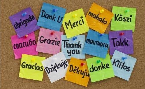 desenvolver a gratidão na sala de aula