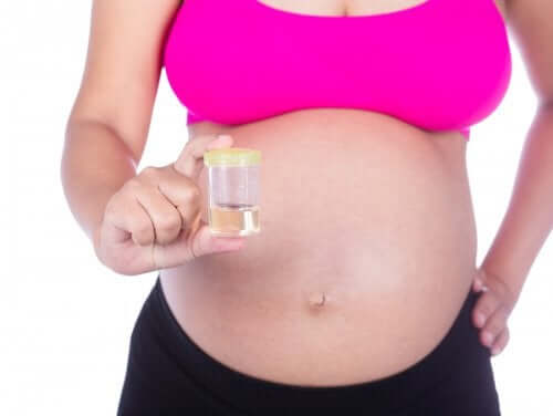Exames pré-natais durante o terceiro trimestre de gravidez