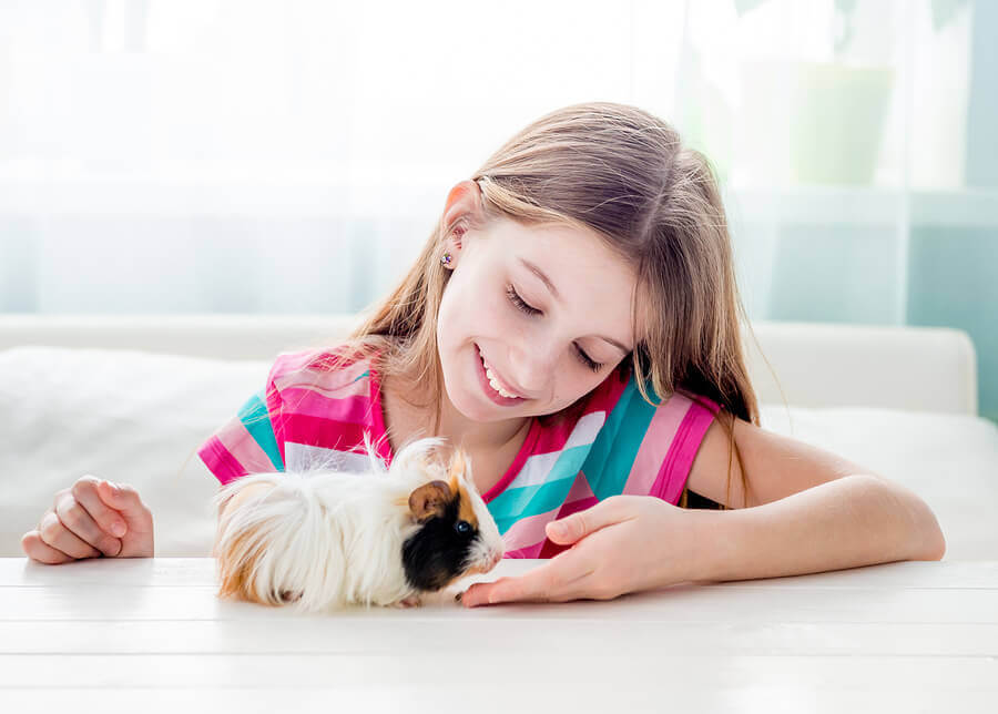 7 animais de estimação para quem mora na cidade