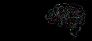 O conceito de inteligência e a sua evolução