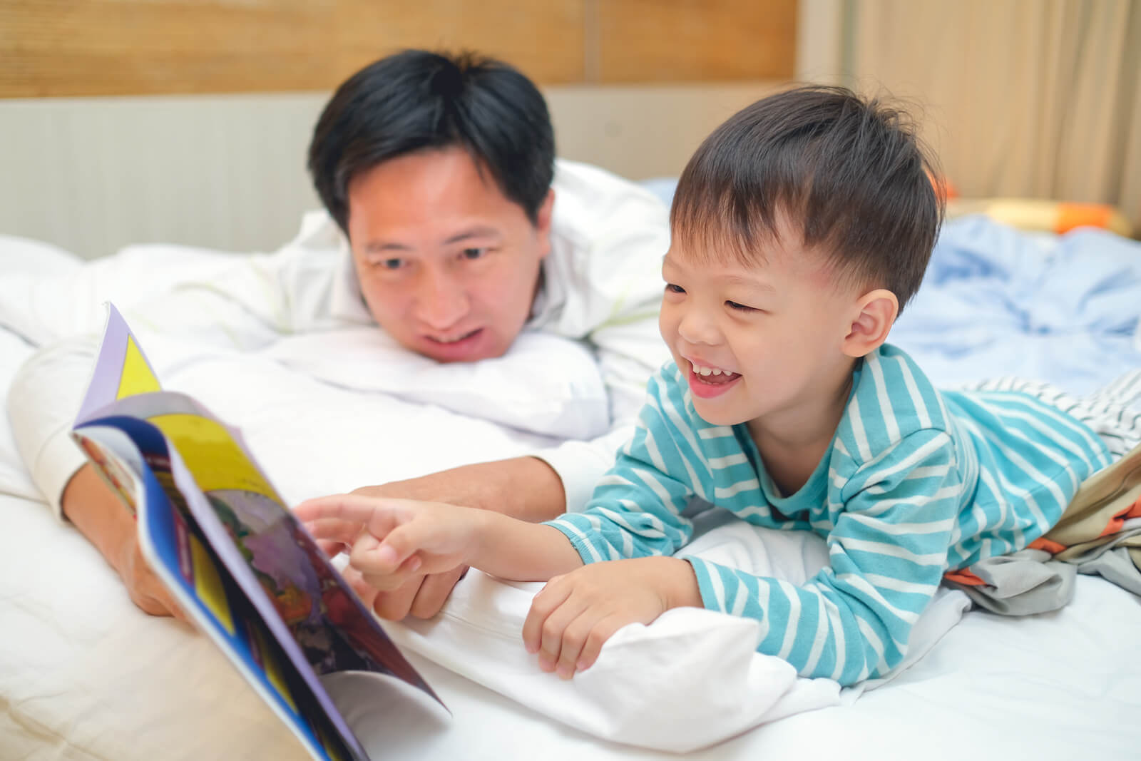 O reconhecimento das palavras: o modelo da dupla rota