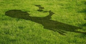 O que a natureza ensina ao seu filho