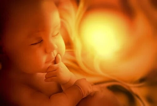 Desenvolvimento do sistema respiratório fetal