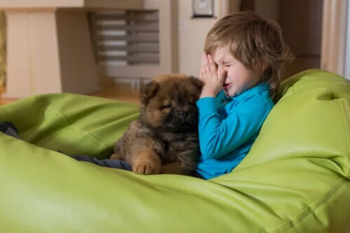 5 recomendações para crianças com alergia a animais