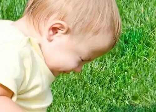 Dicas para evitar rinite alérgica