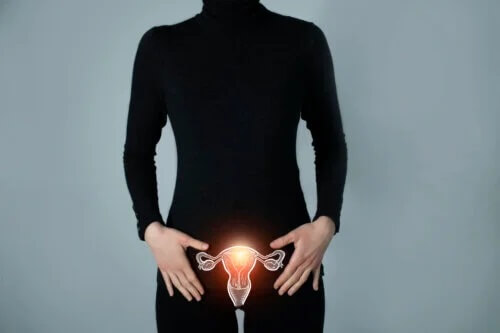 O que são as trompas de Falópio?