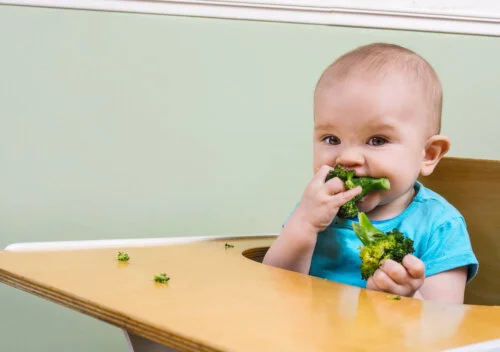 Como alimentar um bebê durante a dentição