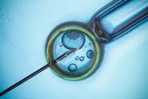 Como escolher a melhor clínica de fertilidade
