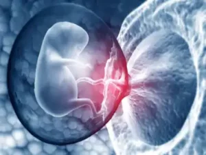 Placenta calcificada: o que você precisa saber