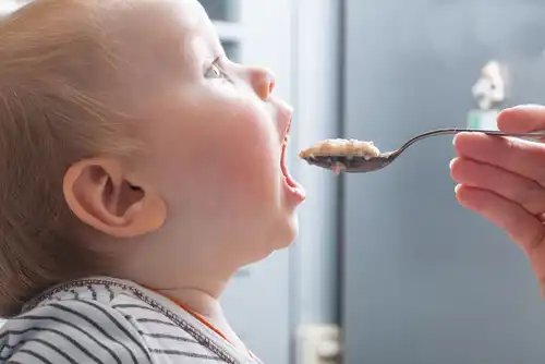 Como preparar comida caseira para o bebê?