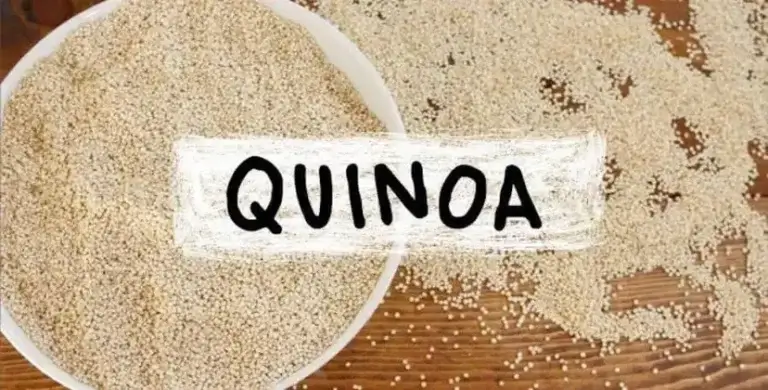 4 receitas com quinoa para crianças