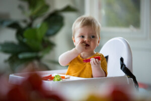 3 dicas para fazer baby led weaning no verão