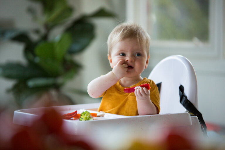 3 dicas para fazer baby led weaning no verão