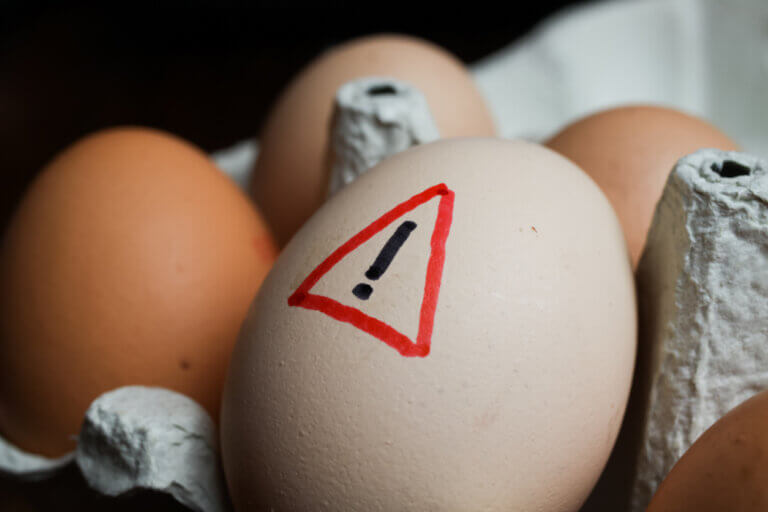 Como substituir os ovos na alimentação complementar