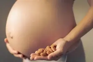 Posso comer frutos secos durante a gravidez?