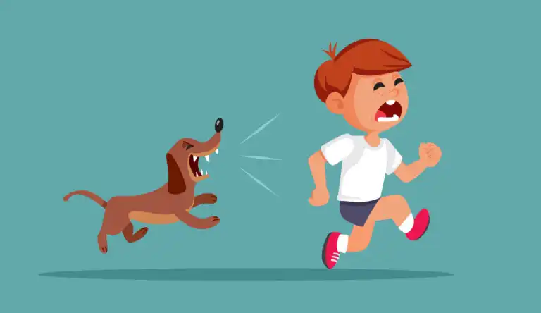Como ajudar meu filho a vencer o medo de cães?